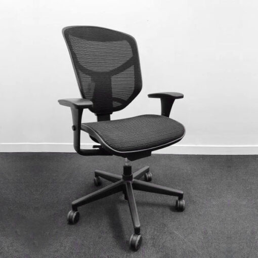 Used Ergohuman Enjoy Mesh Task Chair 1