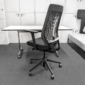 Interstuhl Joyce IS3 FlexGrid Back Task Chair