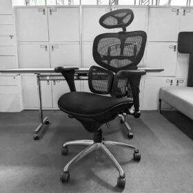 Executive Ergonomic Mesh Chair with Headrest