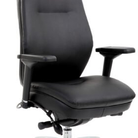 Domino High Back Black Ergonomic Posture Chair with Arms and Headrest