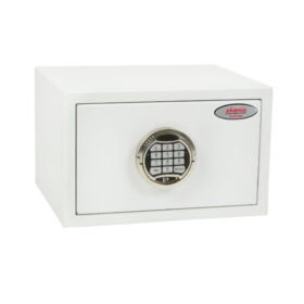 Phoenix Fortress Security Safe