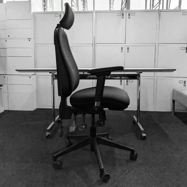 Executive Ergonomic Office Chair with Adjustable Headrest